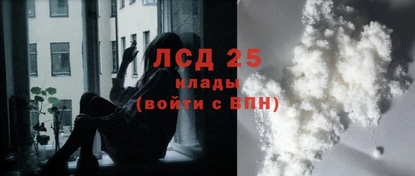 PSILOCYBIN Баксан